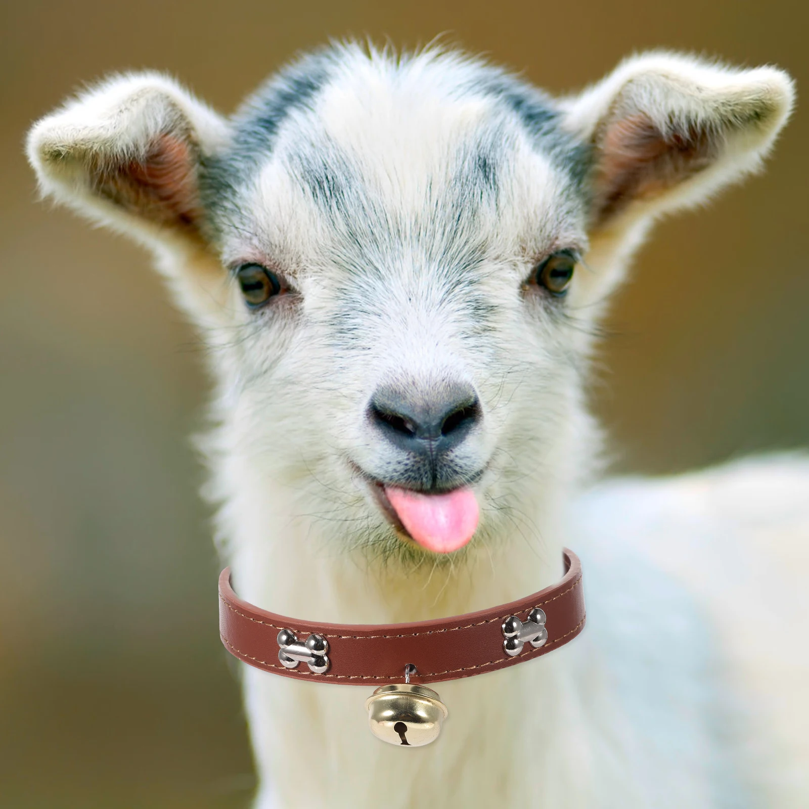 4 Pcs Bell Collar Whelping Collars Sheep Horse Farm Animal Accessories Goat Halter
4 Pcs Bell Collar Whelping Collars Sheep Horse Farm Animal Accessories Goat Halter