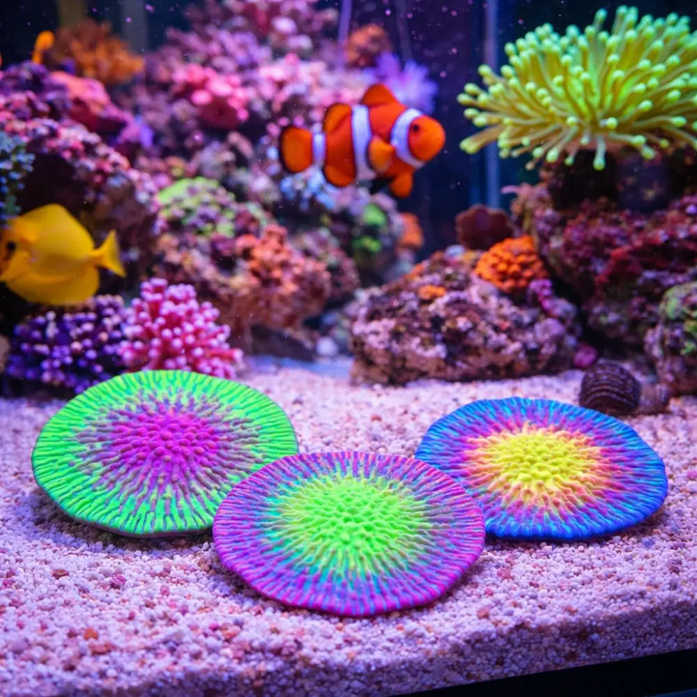 Decorative Realistic Silicone Coral Plant Colorful Non-Toxic Simulation Coral Fluorescence Coral Ornament Pet Accessories
Decorative Realistic Silicone Coral Plant Colorful Non-Toxic Simulation Coral Fluorescence Coral Ornament Pet Accessories
