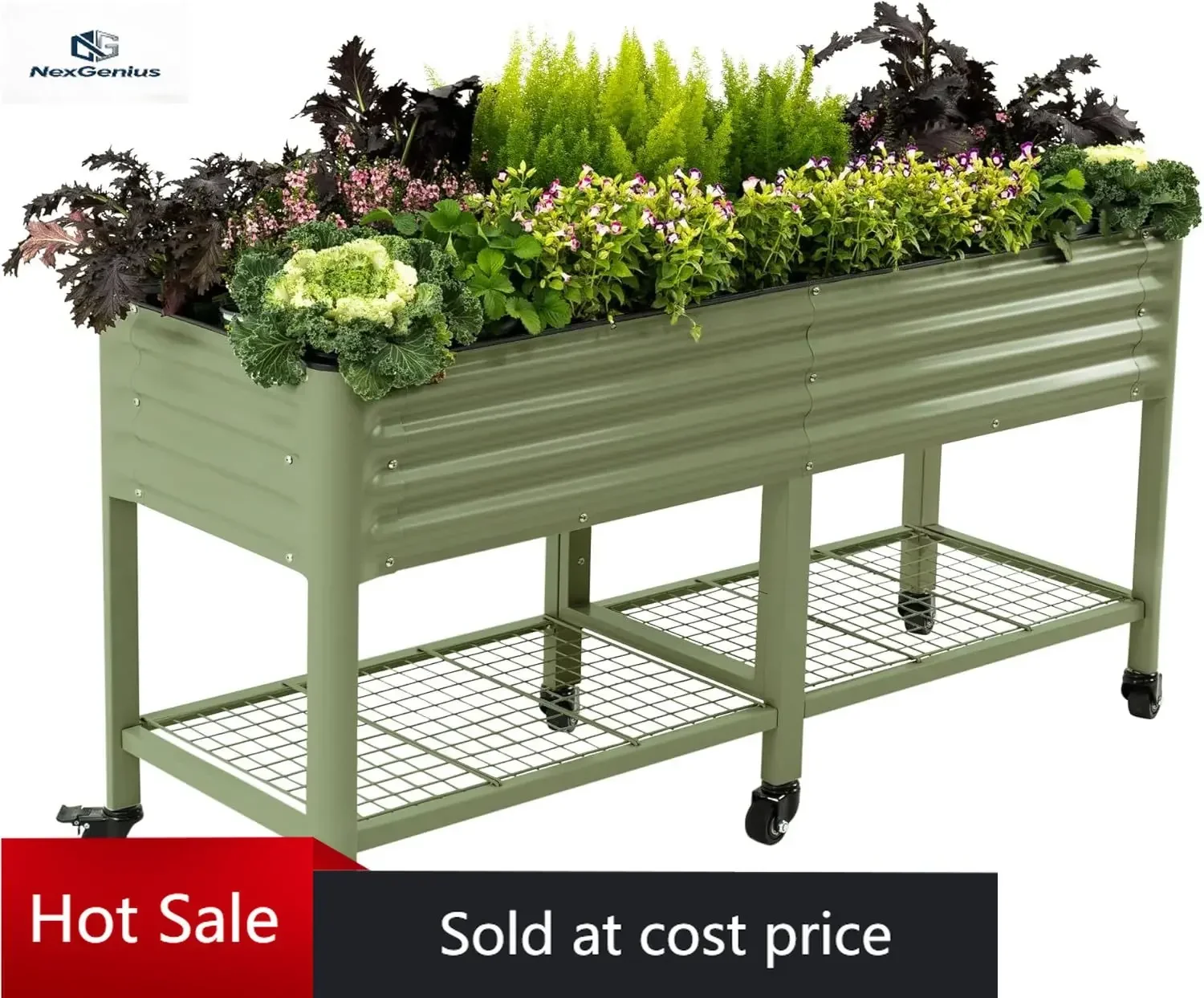 Rolling Elevated Raised Garden Bed-V Series, 2' x 6' Garden Beds with Legs & Storage Rack for Patio & Porch, 1000 Lbs Weight Cap
Rolling Elevated Raised Garden Bed-V Series, 2' x 6' Garden Beds with Legs & Storage Rack for Patio & Porch, 1000 Lbs Weight Cap