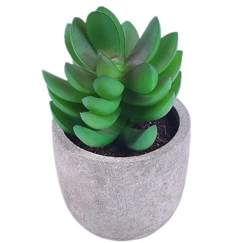 Artificial Plastic Mini Plants Unique Fake Fresh Green Grass Flower in Gray Pot for Home Decor
Artificial Plastic Mini Plants Unique Fake Fresh Green Grass Flower in Gray Pot for Home Decor