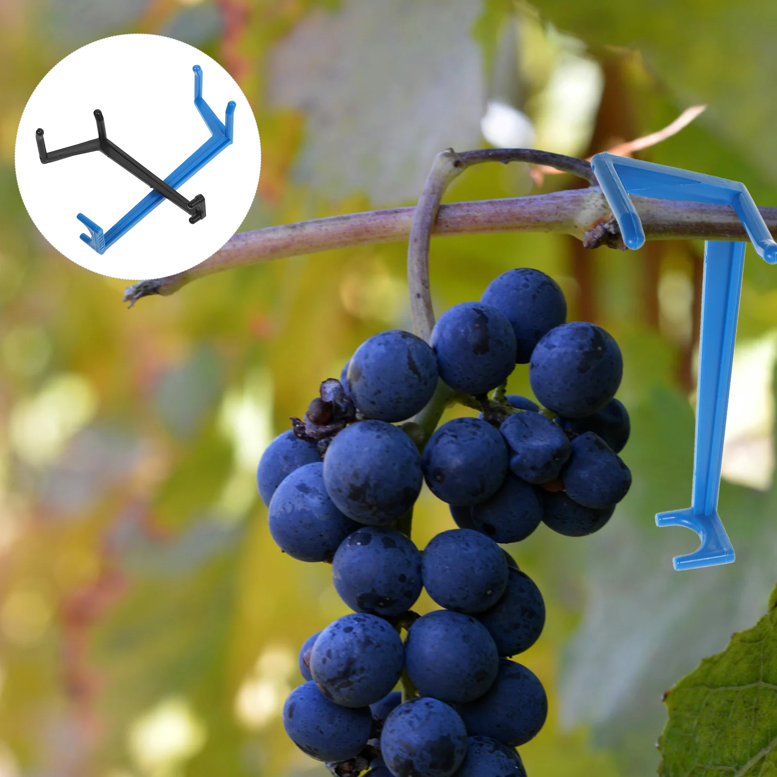 20 Pcs Fruit Tree Branch Puller Set Spacers Bending Tool Limb Spreader Bender Plant
20 Pcs Fruit Tree Branch Puller Set Spacers Bending Tool Limb Spreader Bender Plant