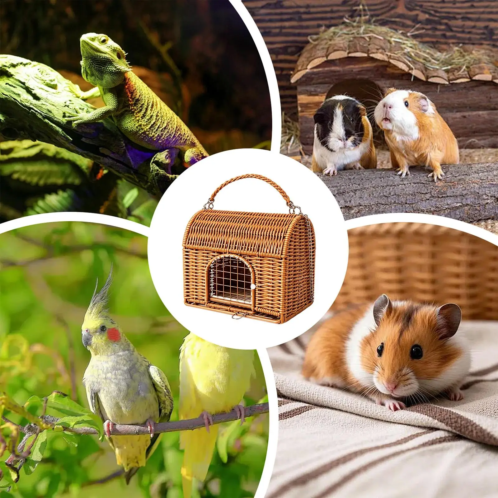 Reptile Carrier For Travel Transport Sleeping Nest With Handle All Season Rattan Washable Bird Carrier For Lizard Leopard Gecko
Reptile Carrier For Travel Transport Sleeping Nest With Handle All Season Rattan Washable Bird Carrier For Lizard Leopard Gecko
