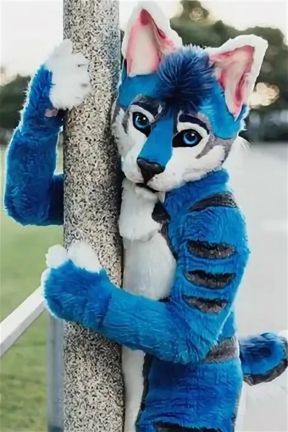 Blue Fox Husky Fursuit Mascot Costume Long Furry Cartoon Animal Suit for Halloween Christmas Cosplay Party Performance
Blue Fox Husky Fursuit Mascot Costume Long Furry Cartoon Animal Suit for Halloween Christmas Cosplay Party Performance