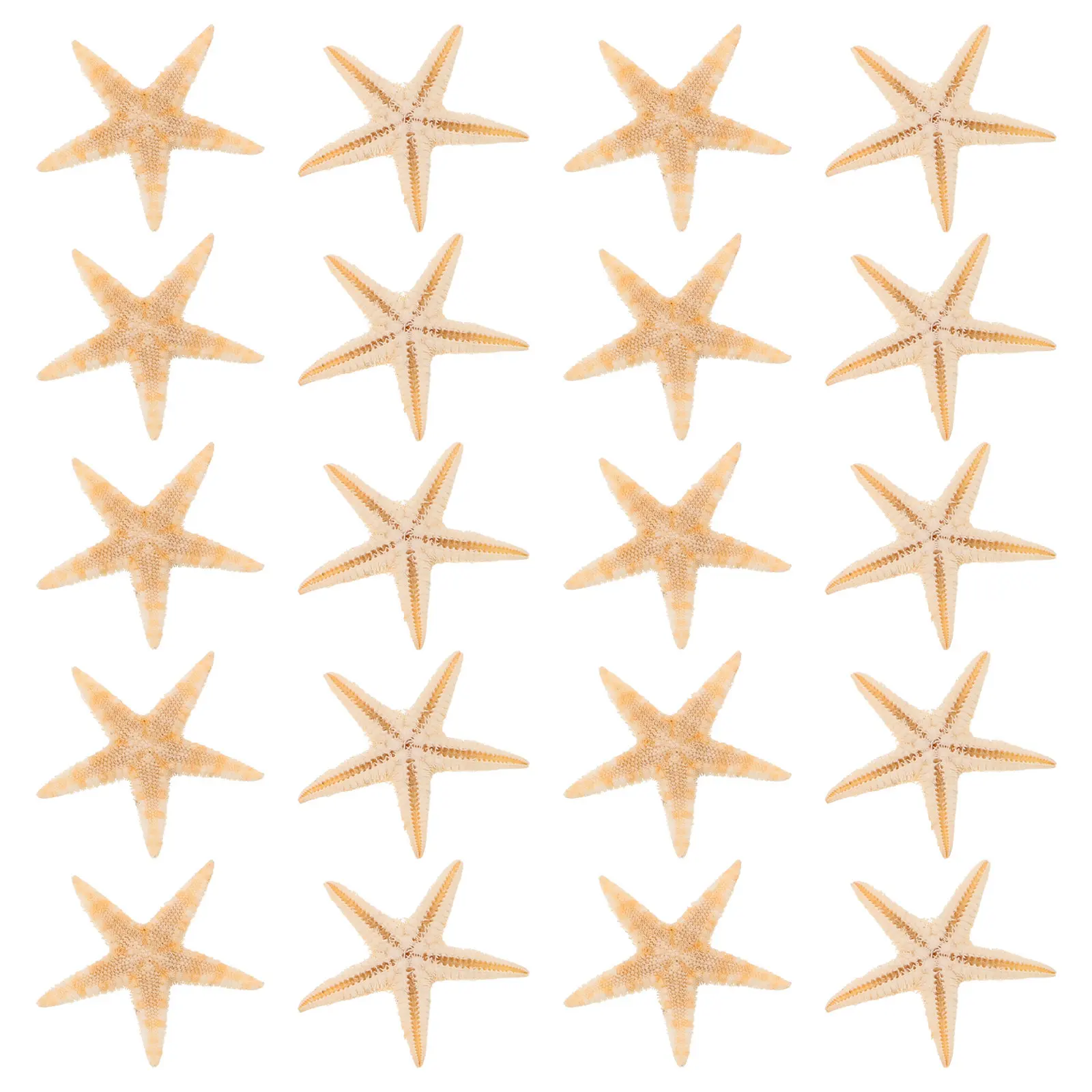 20Pcs Natural Mini Sea Star Ornaments for DIY Scented Making Beach Theme Epoxy Accessories Ocean Decor Aromatherapy
20Pcs Natural Mini Sea Star Ornaments for DIY Scented Making Beach Theme Epoxy Accessories Ocean Decor Aromatherapy