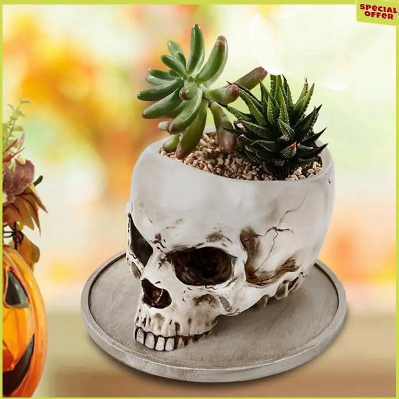 A34R Halloween Multifunctional Skull Container Human Skull Flower Pot Craft Storage Container Multifunctional Home Decoration
A34R Halloween Multifunctional Skull Container Human Skull Flower Pot Craft Storage Container Multifunctional Home Decoration