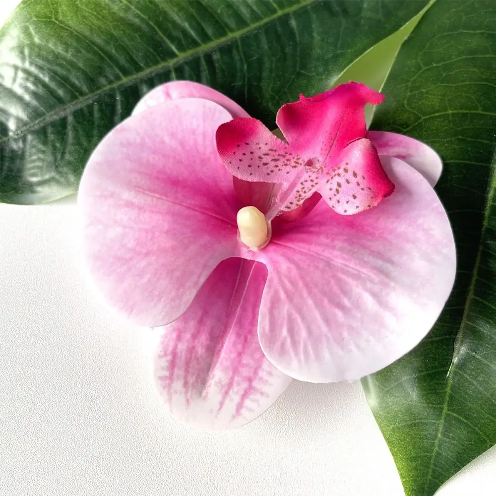 Butterfly Orchid Orchid Flower Hairpin Korean Style Headdress Bohemia Barrettes Hair Accessories Side Barrettes
Butterfly Orchid Orchid Flower Hairpin Korean Style Headdress Bohemia Barrettes Hair Accessories Side Barrettes