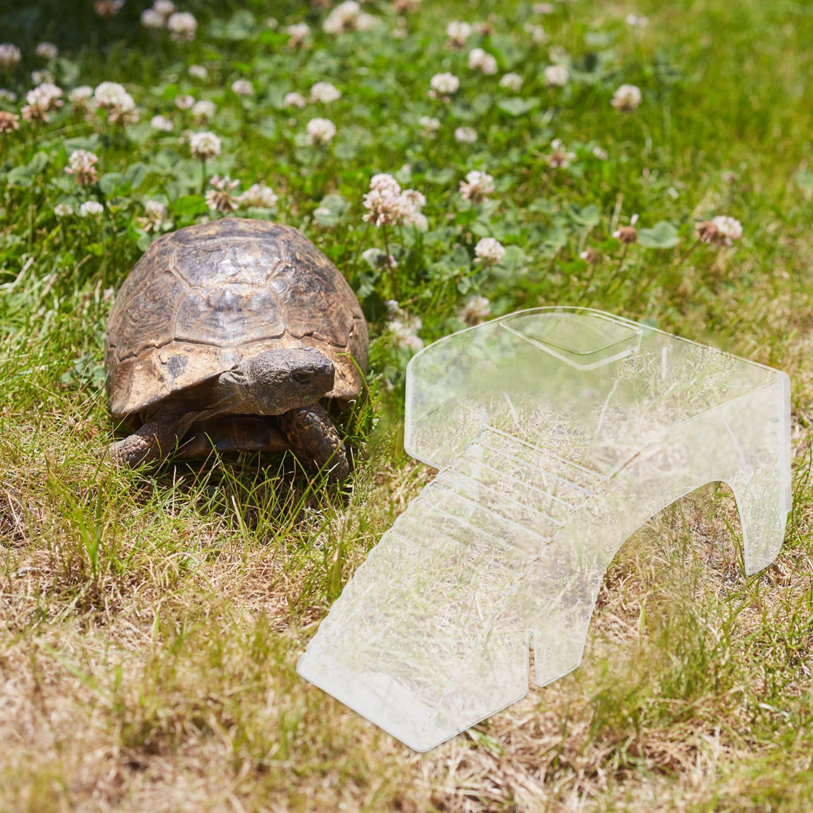 2pcs Micro Landscape Fish Tank ABS Plastic Turtle Basking Platform Resting Ramp Desktop Decor Aquarium Pet Supplies
2pcs Micro Landscape Fish Tank ABS Plastic Turtle Basking Platform Resting Ramp Desktop Decor Aquarium Pet Supplies