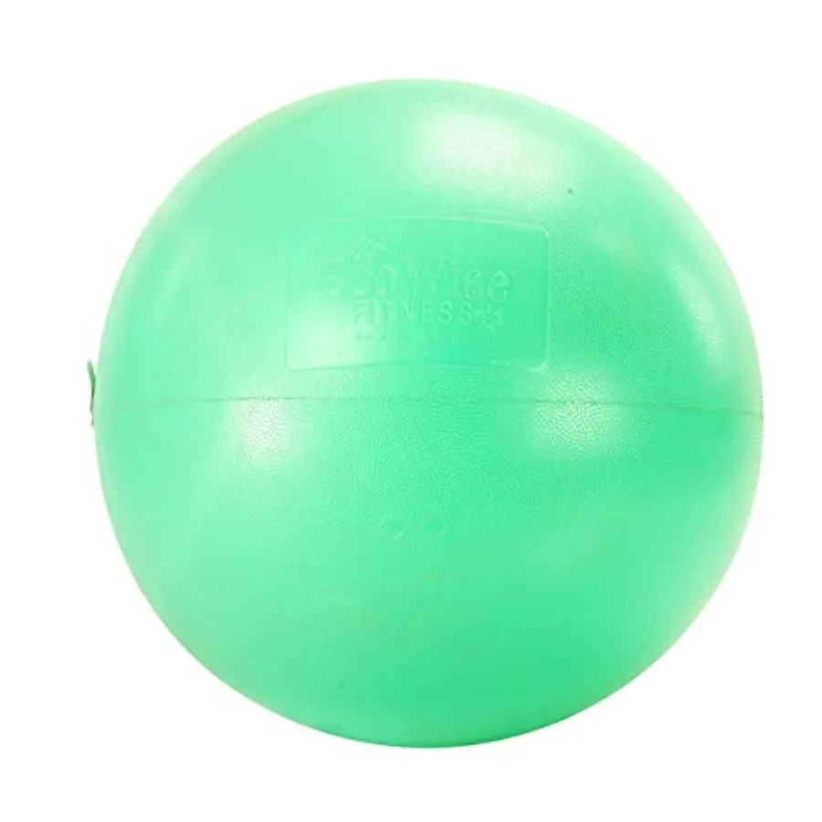 AGM Group EcoWise Premium Fitness Ball Honeydew 55-cm
AGM Group EcoWise Premium Fitness Ball Honeydew 55-cm