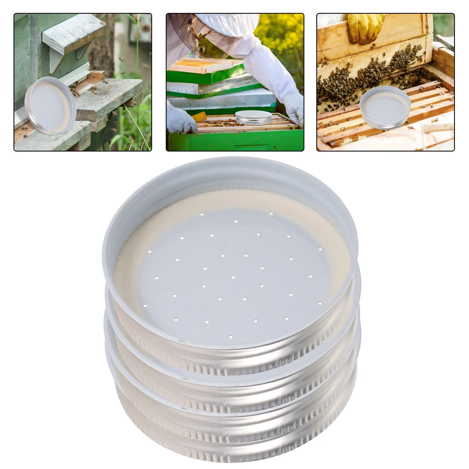 4 Pcs Bee Waterer Hive Feeder for Houses Bottle Suite Beehive Dispenser Metal Drinking
4 Pcs Bee Waterer Hive Feeder for Houses Bottle Suite Beehive Dispenser Metal Drinking