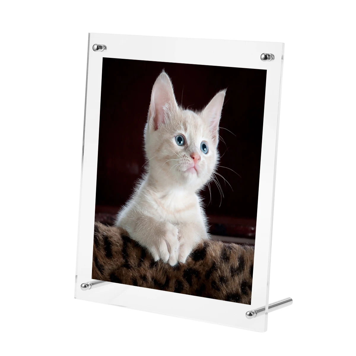 Acrylic Transparent Photo Frame Set Up Desktop Photo Frame Set Publicity Poster Frame Photo Frame (Install 8 Inch / A5 (Inner S
Acrylic Transparent Photo Frame Set Up Desktop Photo Frame Set Publicity Poster Frame Photo Frame (Install 8 Inch / A5 (Inner S
