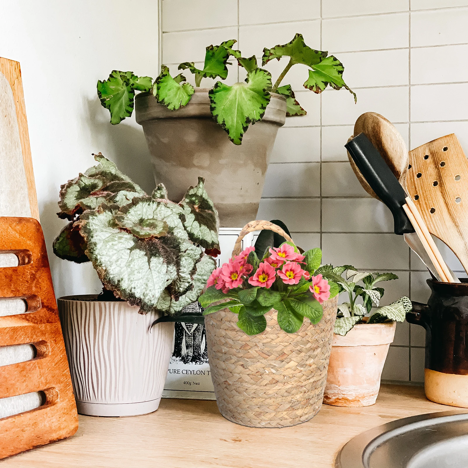 Hanging Storage Basket Woven Wicker Large Wall Flower Holder Decorative Dried Fresh Flowers Organizer Weaving Basket
Hanging Storage Basket Woven Wicker Large Wall Flower Holder Decorative Dried Fresh Flowers Organizer Weaving Basket