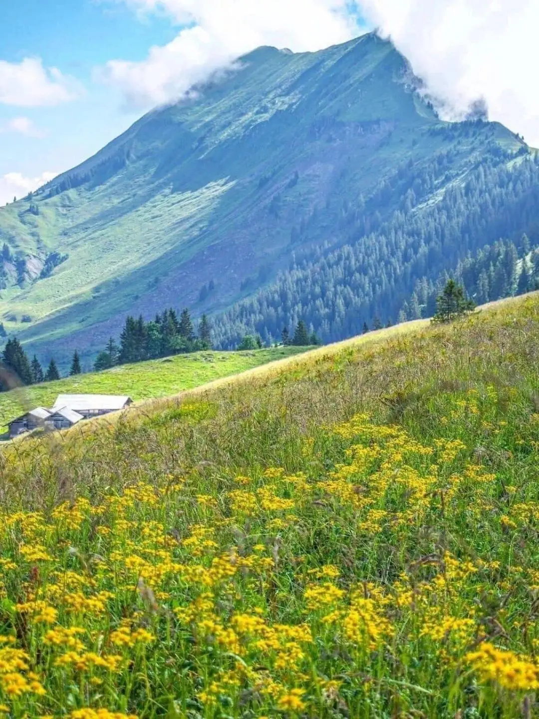 Cocktail Shaker Bar Set Shaker Barware Set - 4 Pieces Bartender Kit Include Shaker, Jigger,Strainer & Spoon Bar Tool
Cocktail Shaker Bar Set Shaker Barware Set - 4 Pieces Bartender Kit Include Shaker, Jigger,Strainer & Spoon Bar Tool