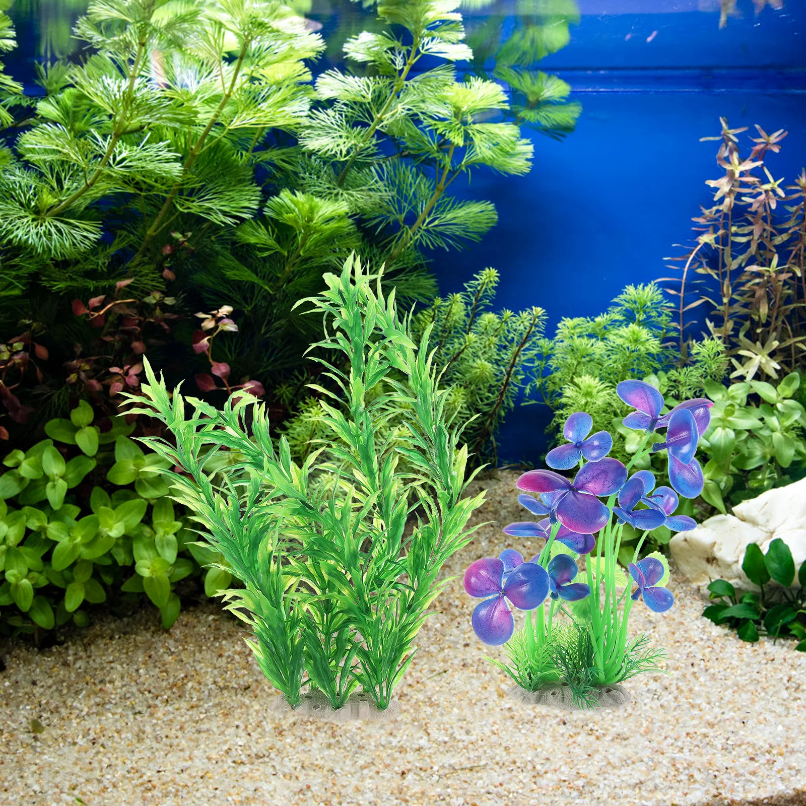 5pcs Aquarium Plants Plastic Fish Tank Simulation Plant Decoration Artificial Grass Fake Decor For Fresh Salt Water Realistic
5pcs Aquarium Plants Plastic Fish Tank Simulation Plant Decoration Artificial Grass Fake Decor For Fresh Salt Water Realistic