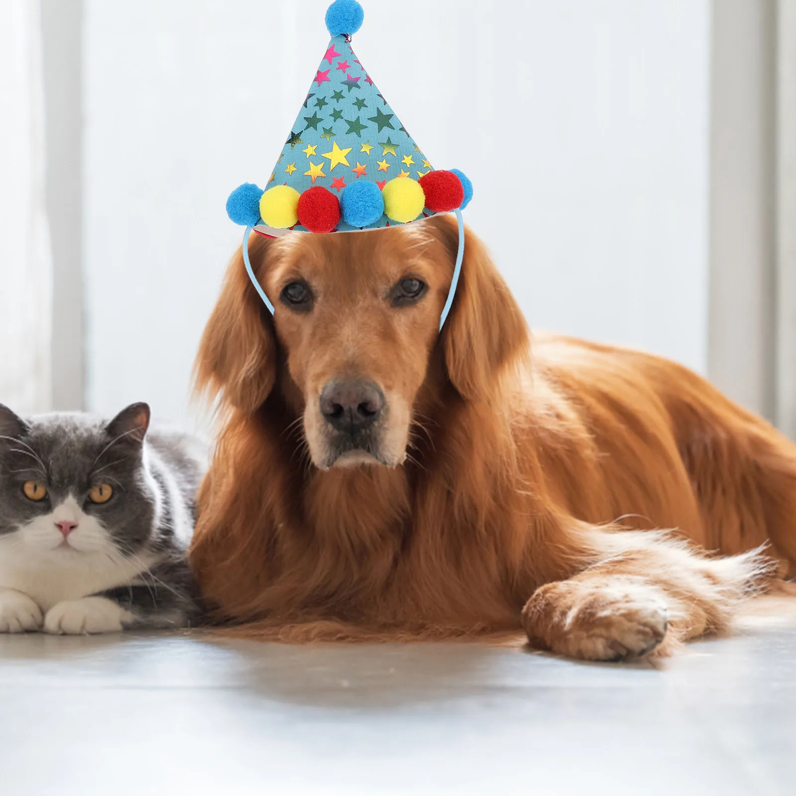 Pet Birthday Cap Set Shining Balloons Neckerchief for Dog Birthday Party Decoration Pet Balloon Supplies Party Balloon
Pet Birthday Cap Set Shining Balloons Neckerchief for Dog Birthday Party Decoration Pet Balloon Supplies Party Balloon