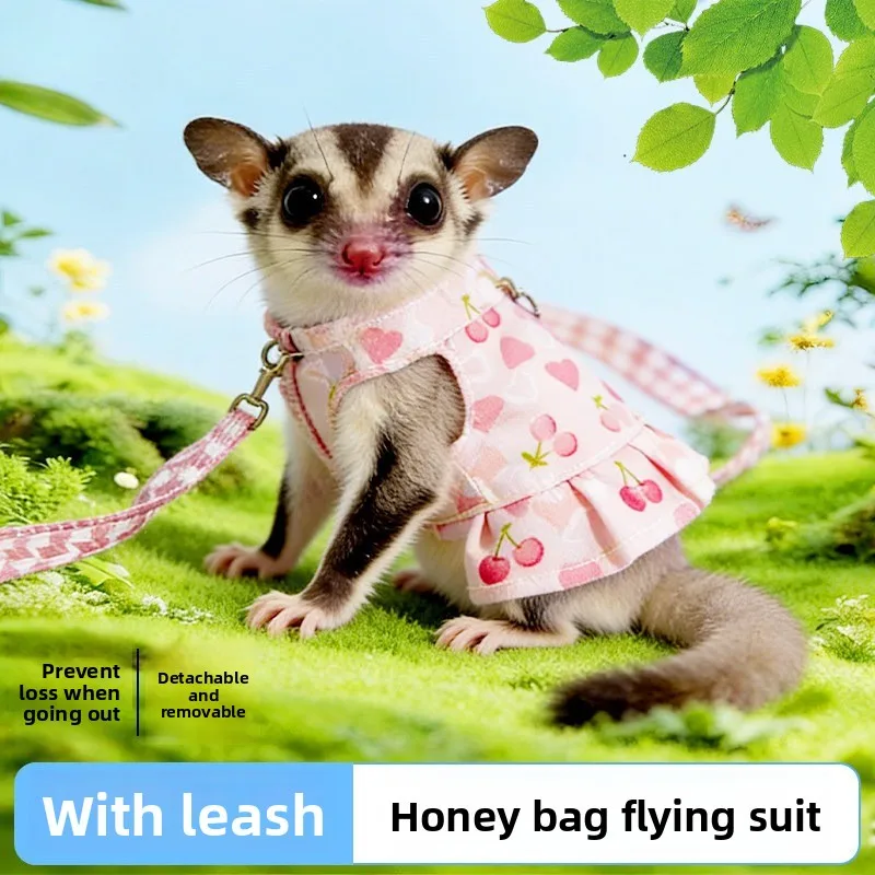 Sugar Glider Dress Harness Set, Adjustable Ferret Clothes with Leash for Squirrel Chinchilla, Cute Small Pet Costume Vest
Sugar Glider Dress Harness Set, Adjustable Ferret Clothes with Leash for Squirrel Chinchilla, Cute Small Pet Costume Vest