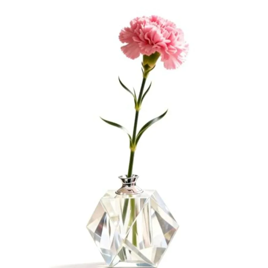 Crystal Bud Vase for Single Flower, Geometric Diamond Cut Single Stem Vase, Small Tabletop Vase for Home, Restaurant, Cafe, Ret
Crystal Bud Vase for Single Flower, Geometric Diamond Cut Single Stem Vase, Small Tabletop Vase for Home, Restaurant, Cafe, Ret
