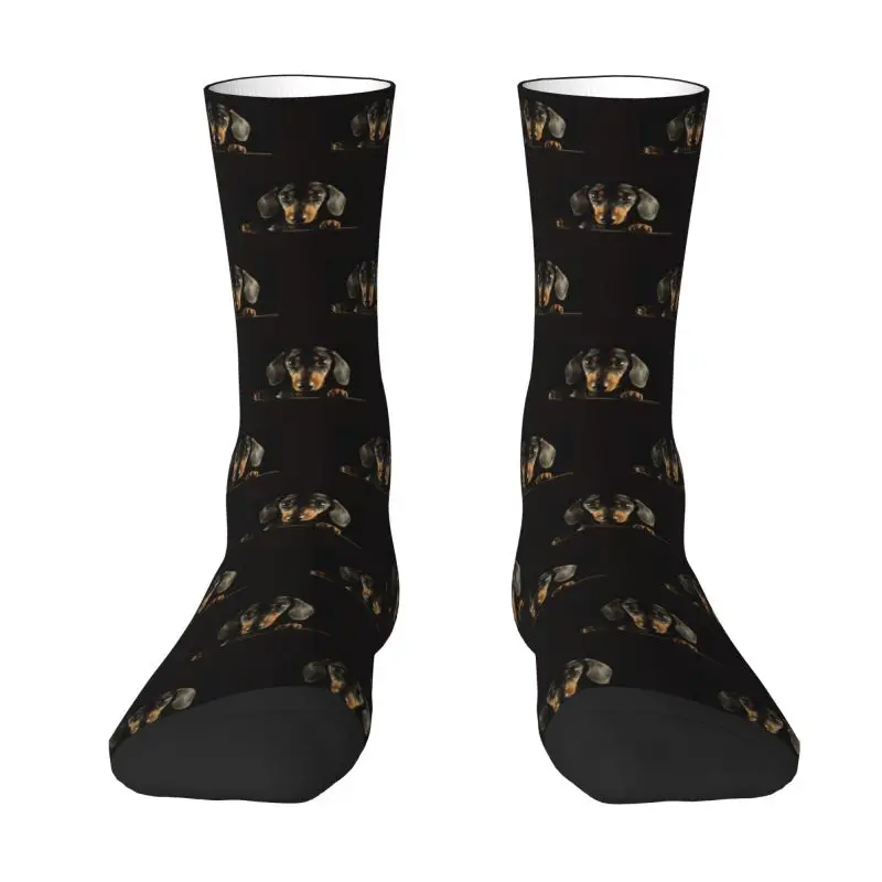 Custom Cute Dachshund Dog Mens Crew Socks Unisex Fun 3D Printed Puppy Pet Dress Socks
Custom Cute Dachshund Dog Mens Crew Socks Unisex Fun 3D Printed Puppy Pet Dress Socks