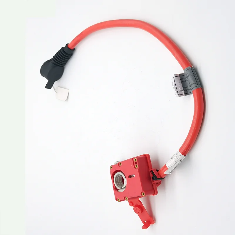 Battery Blow Off Cable 61129217035 61129217035 For BMW F07 535i 550i N55B30A N63B44A 225KW 300KW
Battery Blow Off Cable 61129217035 61129217035 For BMW F07 535i 550i N55B30A N63B44A 225KW 300KW