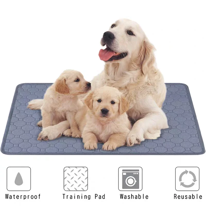 Reusable Dog Pee Pad Blanket Absorbent Diaper Washable Puppy Training Pad Pet Bed Urine Mat for Pet Car Seat Cover Pet Supplies
Reusable Dog Pee Pad Blanket Absorbent Diaper Washable Puppy Training Pad Pet Bed Urine Mat for Pet Car Seat Cover Pet Supplies