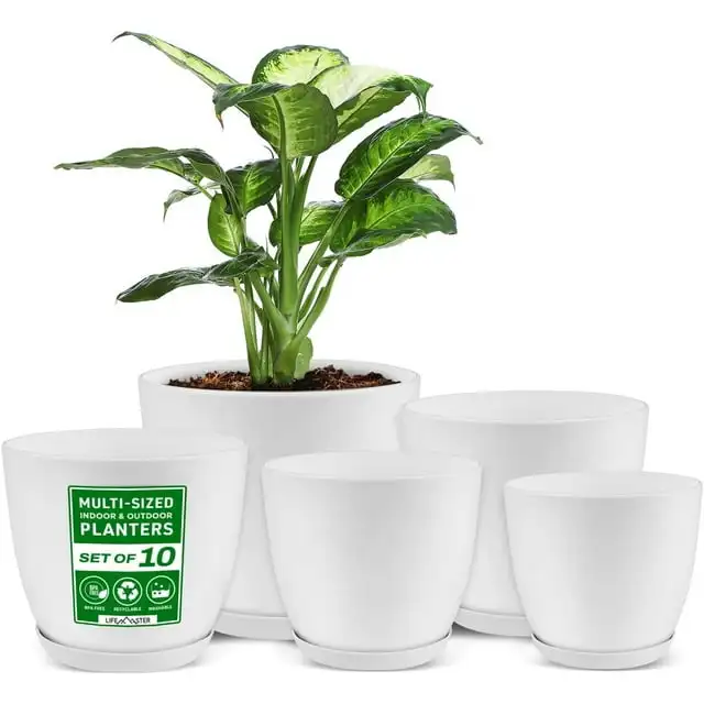 Juego de Macetas Ecológicas - Paquete de 10 Macetas de Plástico para Interiores y Exteriores
Juego de Macetas Ecológicas - Paquete de 10 Macetas de Plástico para Interiores y Exteriores