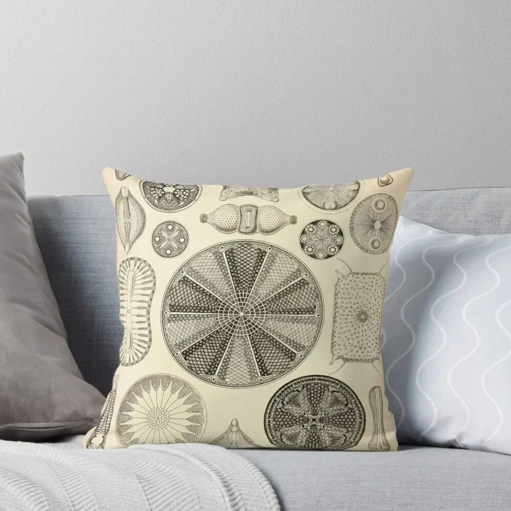 Diatomea - Ernst Haeckel Throw Pillow Decorative pillow case Cushions For Decorative Sofa pillow
Diatomea - Ernst Haeckel Throw Pillow Decorative pillow case Cushions For Decorative Sofa pillow