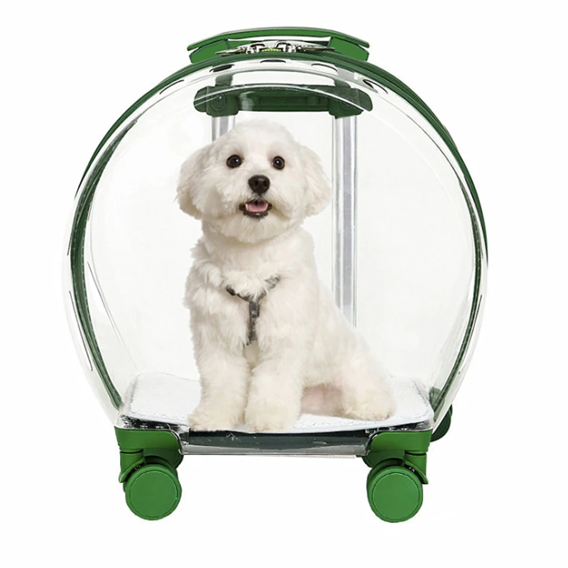 Premium Cat bag new transparent bubble trolley bag puppy out transport box cat stroller pet trolley box2025
Premium Cat bag new transparent bubble trolley bag puppy out transport box cat stroller pet trolley box2025