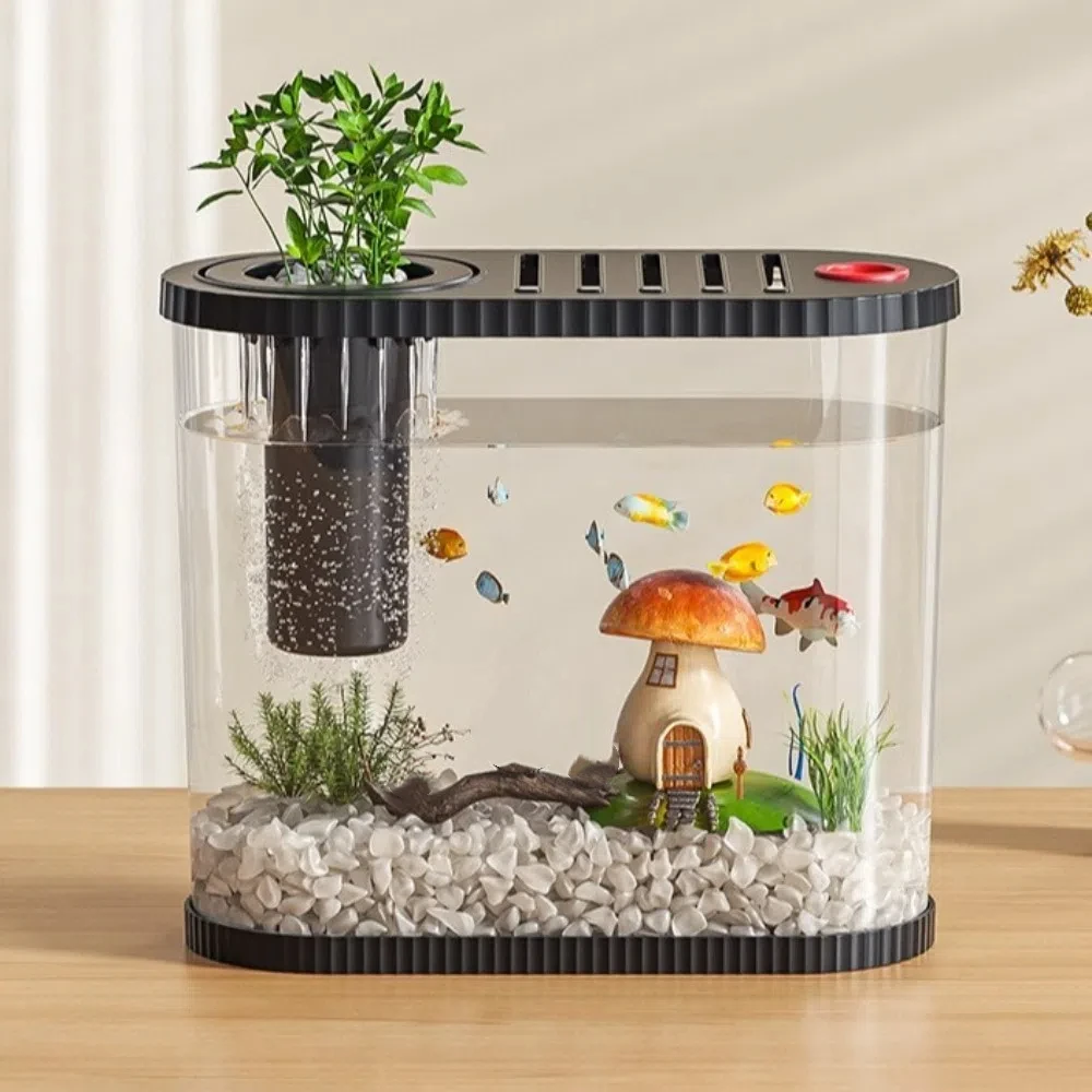 Shatterproof Tabletop Fish Bowl Transparent Space-Saving Plastic Fish Tank with Filter Compartment Clear Table Fish Bowl
Shatterproof Tabletop Fish Bowl Transparent Space-Saving Plastic Fish Tank with Filter Compartment Clear Table Fish Bowl