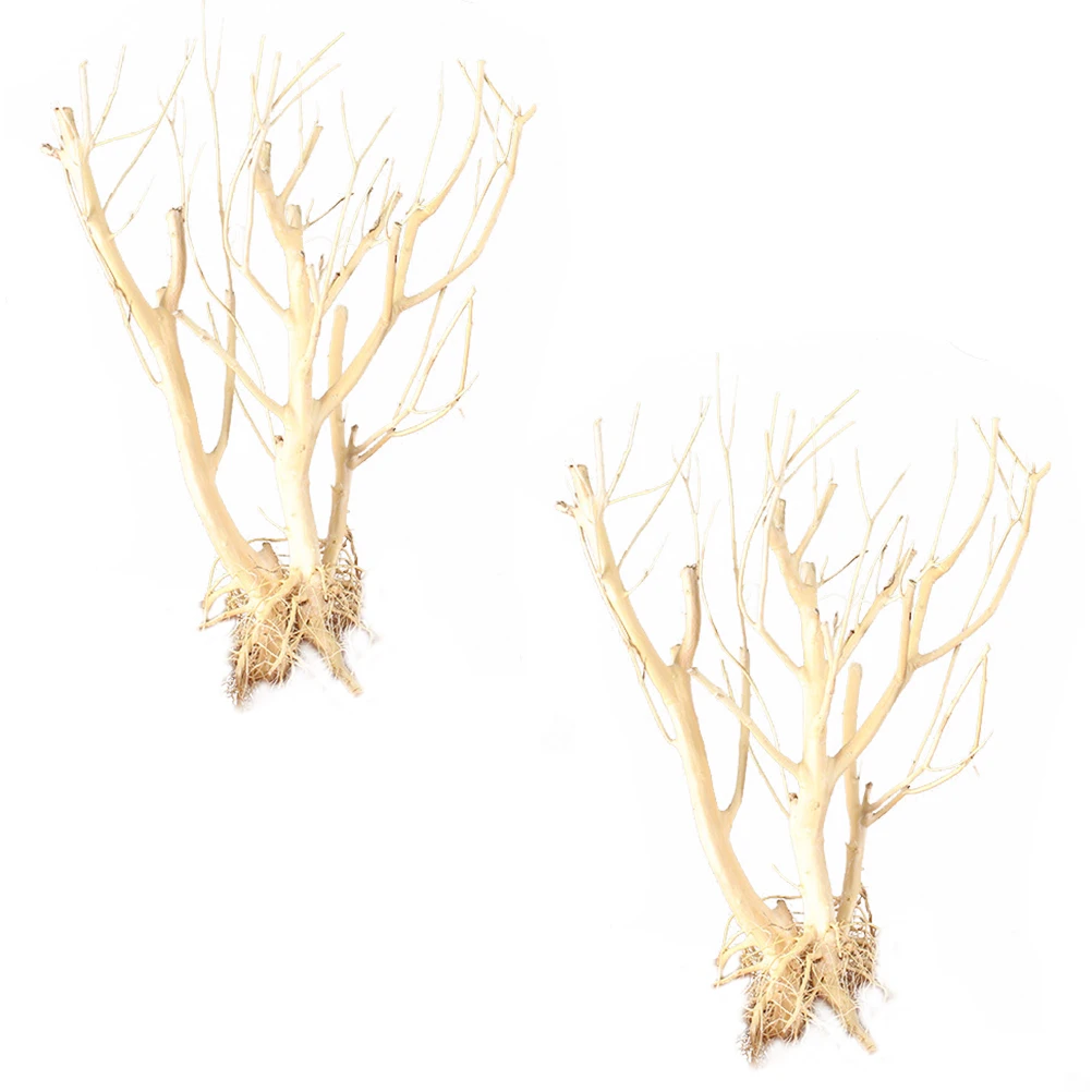 2pcs Decorative Moss Tree 37 45CM R om Shape Branches for Fish Tank Aquarium L scaping Supplies Pet Decor
2pcs Decorative Moss Tree 37 45CM R om Shape Branches for Fish Tank Aquarium L scaping Supplies Pet Decor