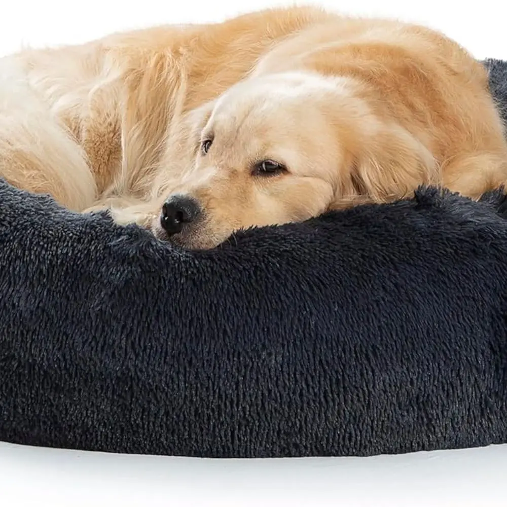 Плюшевая нечеткая кровать для собак-пончиков для маленьких и больших собак — защита от тревоги, моющаяся, кровать для домашних животных Cuddler разных размеров
Плюшевая нечеткая кровать для собак-пончиков для маленьких и больших собак — защита от тревоги, моющаяся, кровать для домашних животных Cuddler разных размеров