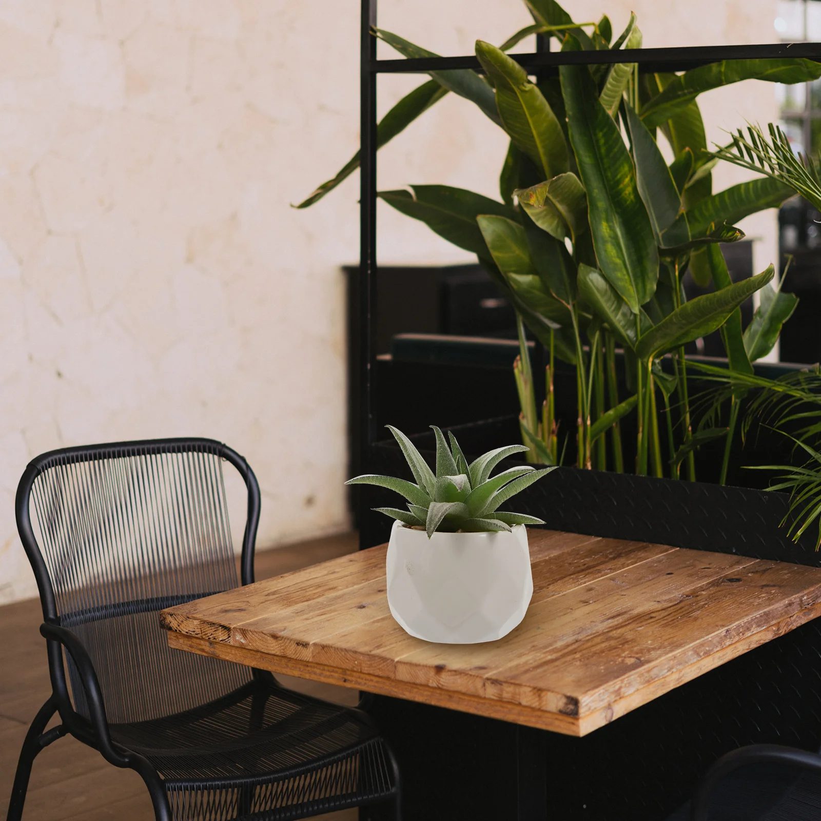 4Pcs Fake Succulents Bonsai Realistic Desktop Plant Ornament No Need Watering Decorative for Living Room Bedroom Study Room
4Pcs Fake Succulents Bonsai Realistic Desktop Plant Ornament No Need Watering Decorative for Living Room Bedroom Study Room