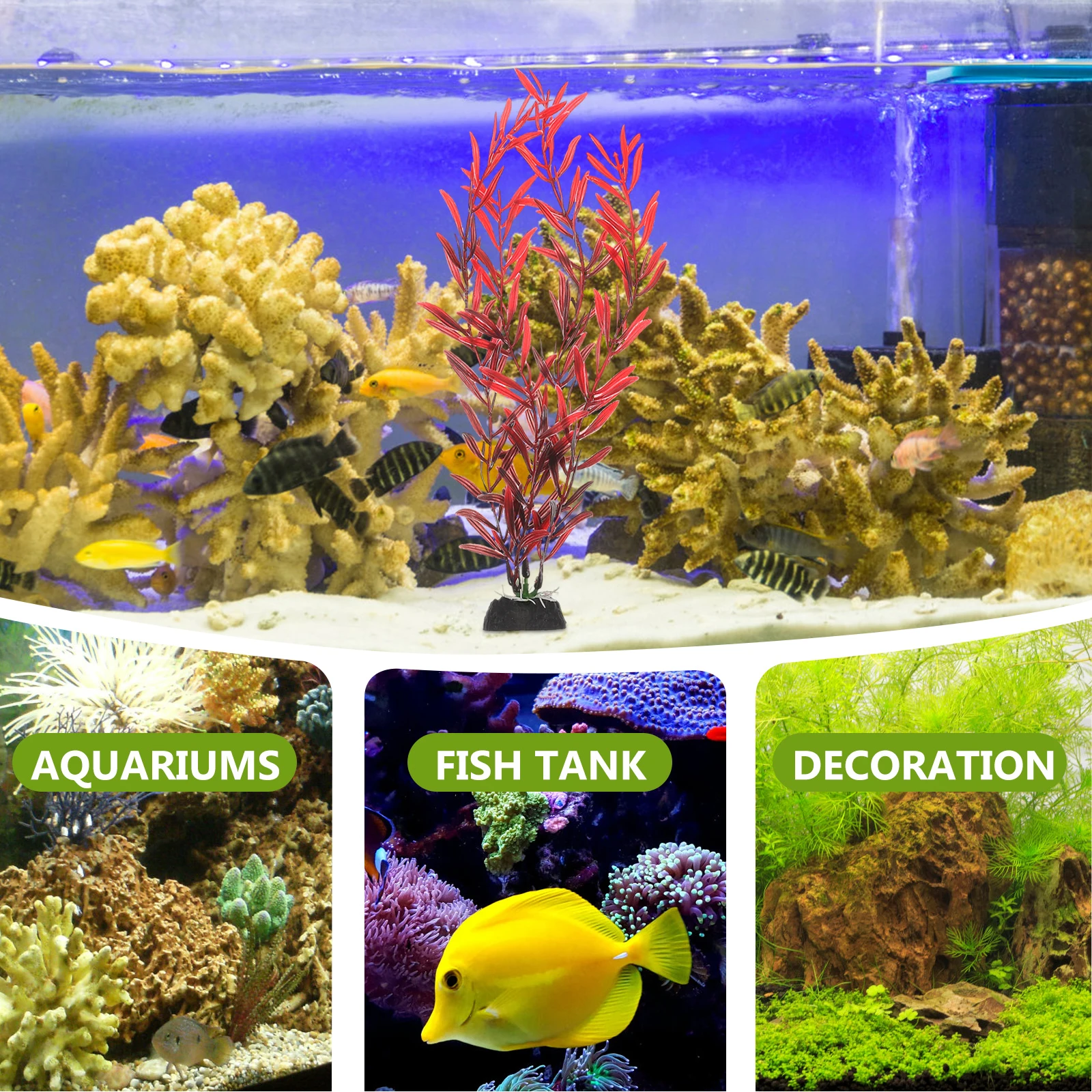 10pcs Aquarium Plants Fish Tank Decorations Artificial Seaweed Plastic Water Grass Decor Small Compact Realistic Durable Fade
10pcs Aquarium Plants Fish Tank Decorations Artificial Seaweed Plastic Water Grass Decor Small Compact Realistic Durable Fade