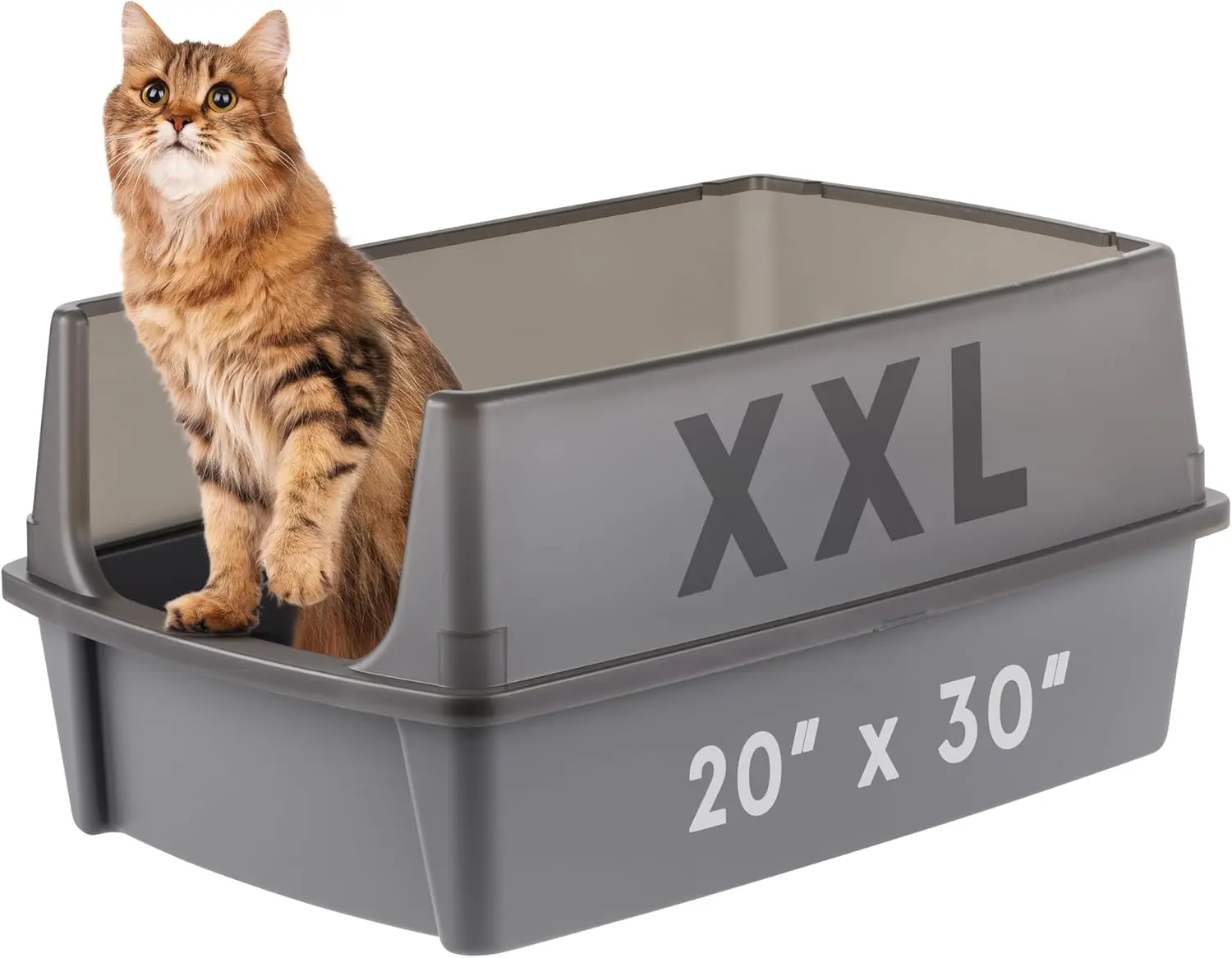 Extra Large Cat Litter Box with High Sided Walls, Scatter Shield & Scoop Included, Easy Clean Pan for Big Cats & Multi-Cat Homes
Extra Large Cat Litter Box with High Sided Walls, Scatter Shield & Scoop Included, Easy Clean Pan for Big Cats & Multi-Cat Homes