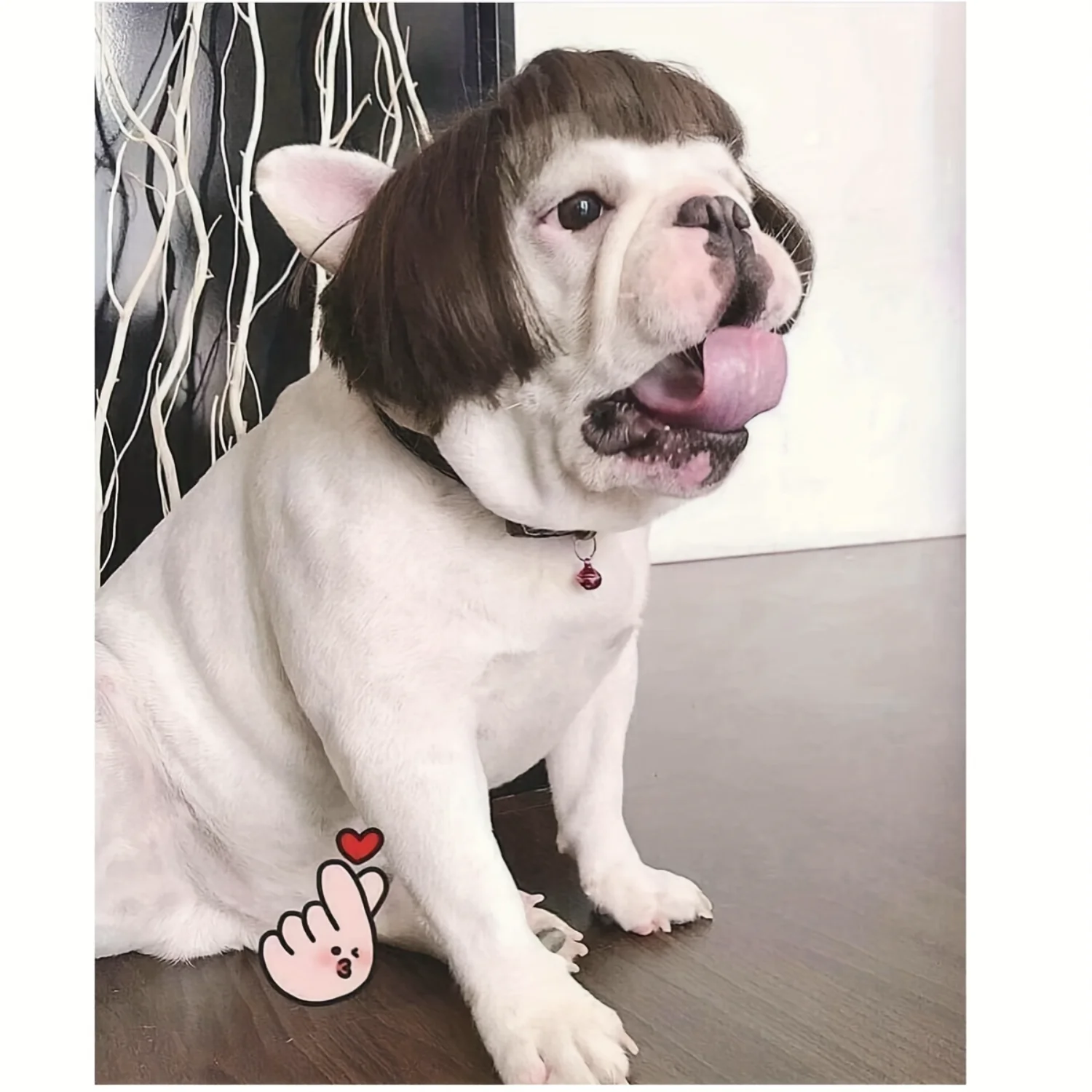 Pet Wig Hairpiece with Bangs and Braids - Funny DIY Dog Cat Costume Accessory for Dress Up and Photoshoots
Pet Wig Hairpiece with Bangs and Braids - Funny DIY Dog Cat Costume Accessory for Dress Up and Photoshoots