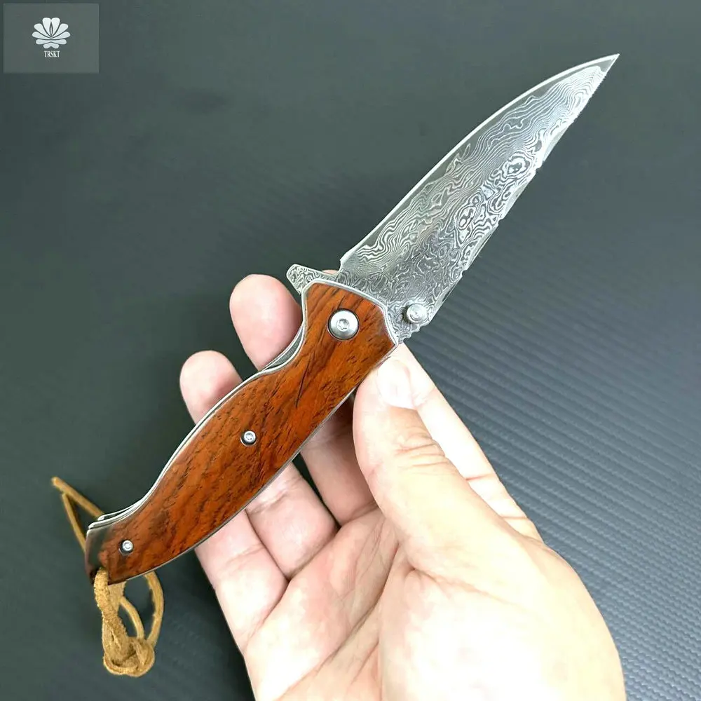 Складной нож из дамасской стали TRSKT, походный Карманный резец для самообороны и охоты, с футляром, для выживания, рыбы
Складной нож из дамасской стали TRSKT, походный Карманный резец для самообороны и охоты, с футляром, для выживания, рыбы