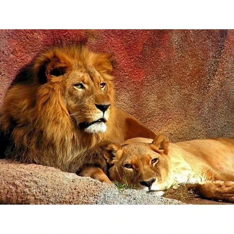 500/1000/1200/2000PCS Jigsaw Puzzle Lion With Flowing Mane Wildlife Art For Adult Stress Relief Relaxing Hobby Brain Teaser Gift
500/1000/1200/2000PCS Jigsaw Puzzle Lion With Flowing Mane Wildlife Art For Adult Stress Relief Relaxing Hobby Brain Teaser Gift