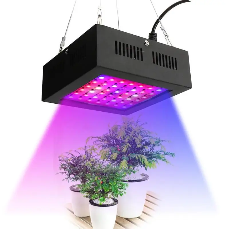 80W LED Grow Light 42leds IP66 Indoor Hydroponic System Fruits Grow Lamp For Greenhouse Flowering and Growing Vegetables Light
80W LED Grow Light 42leds IP66 Indoor Hydroponic System Fruits Grow Lamp For Greenhouse Flowering and Growing Vegetables Light