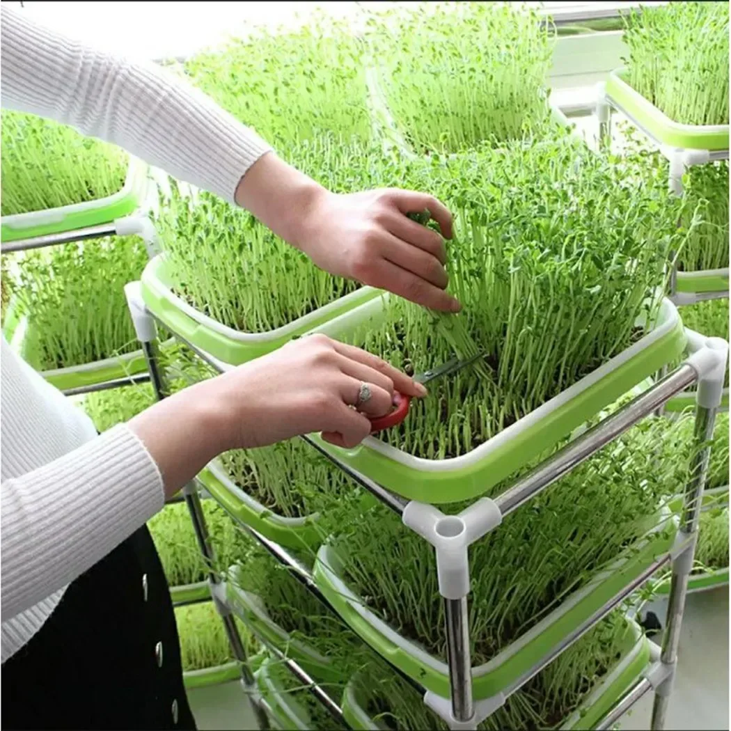 2-Pack Seed Sprouter Tray Soil-Big Capacity Microgreens Tray Hydroponic / Sprouting Tray For Sprouts Gardening Supplies
2-Pack Seed Sprouter Tray Soil-Big Capacity Microgreens Tray Hydroponic / Sprouting Tray For Sprouts Gardening Supplies