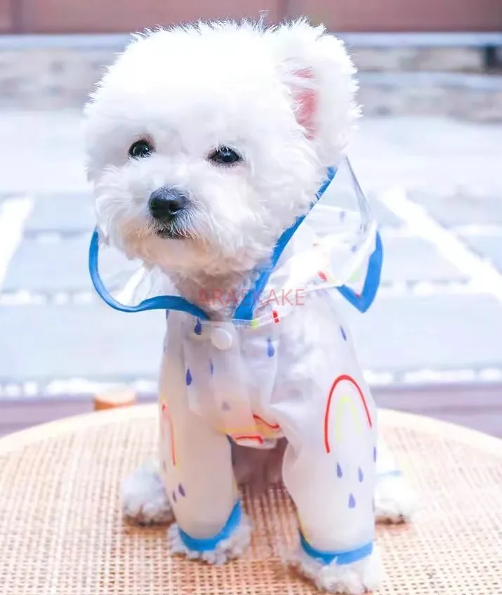 Плащ для собак, дождливый летний Тедди, артефакт на четырех ножках, специальный водонепроницаемый плащ для маленьких собак, летний плащ для собак
Плащ для собак, дождливый летний Тедди, артефакт на четырех ножках, специальный водонепроницаемый плащ для маленьких собак, летний плащ для собак