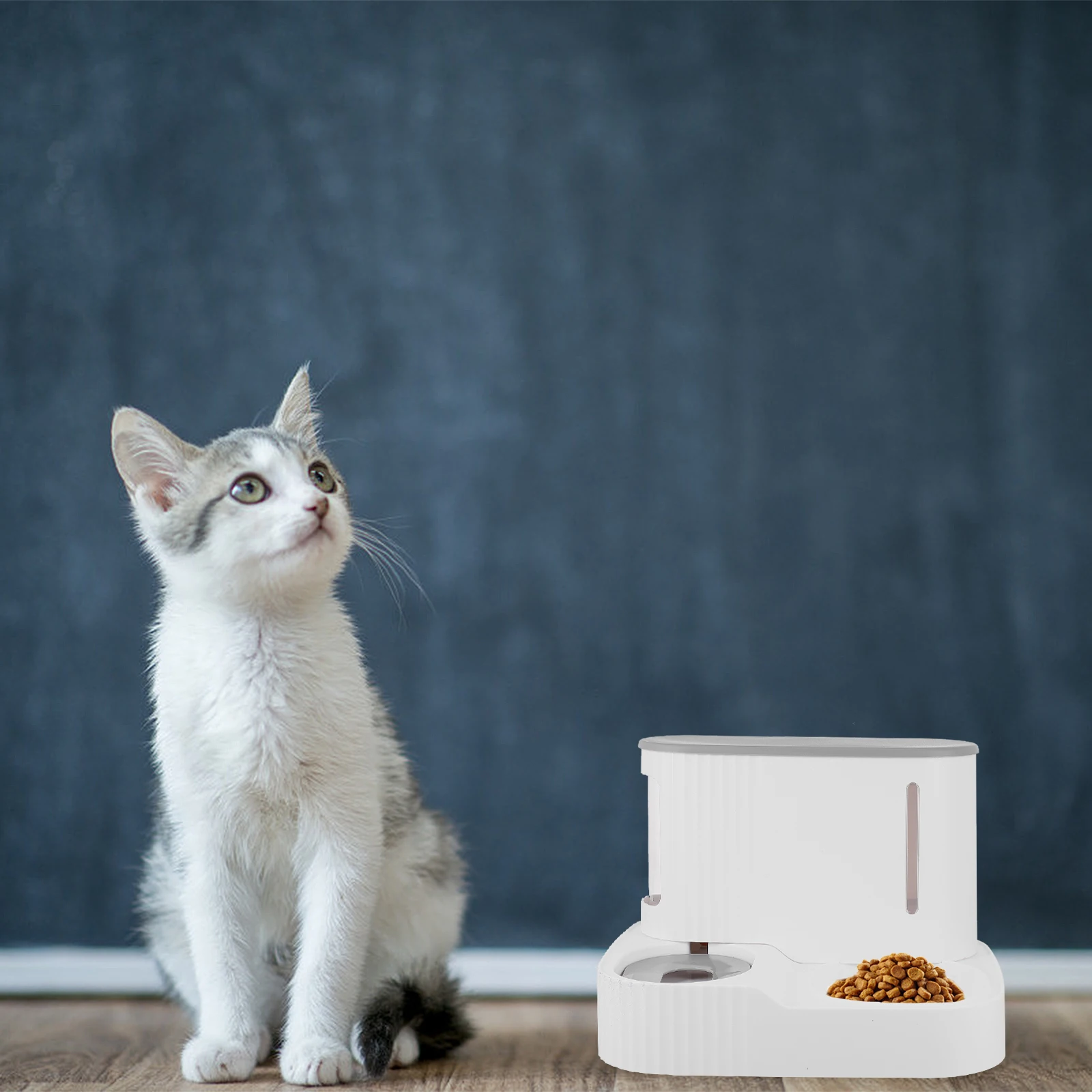 Automatic Food 85L Water Pet Water Dispenser Automatic Dog Feeder HIPS PET Materials Cat Dog Pet Food Bowl Supplies Dispenser
Automatic Food 85L Water Pet Water Dispenser Automatic Dog Feeder HIPS PET Materials Cat Dog Pet Food Bowl Supplies Dispenser