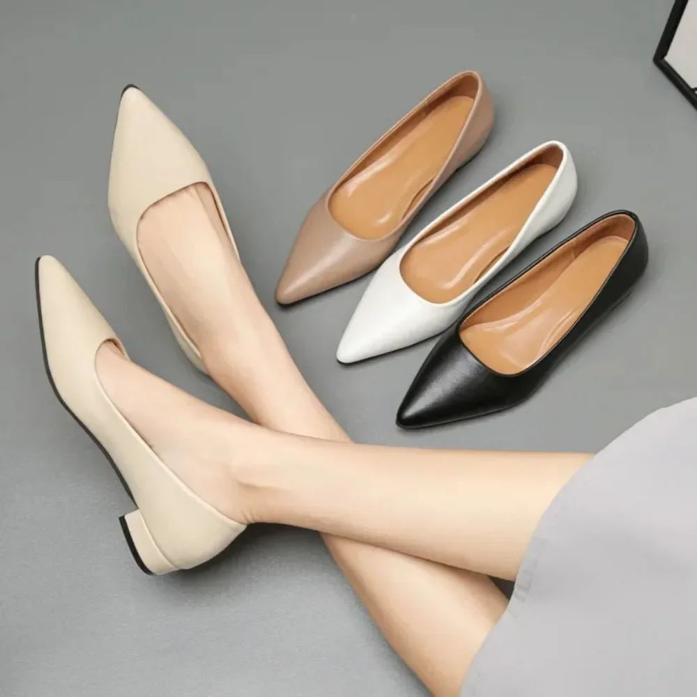 2025 Spring New Women's Shoes Plus Size41 Pointed Toe Single Shoes Comfortable Low Heel Four Seasons Leather Sneakers Wholesale
2025 Spring New Women's Shoes Plus Size41 Pointed Toe Single Shoes Comfortable Low Heel Four Seasons Leather Sneakers Wholesale