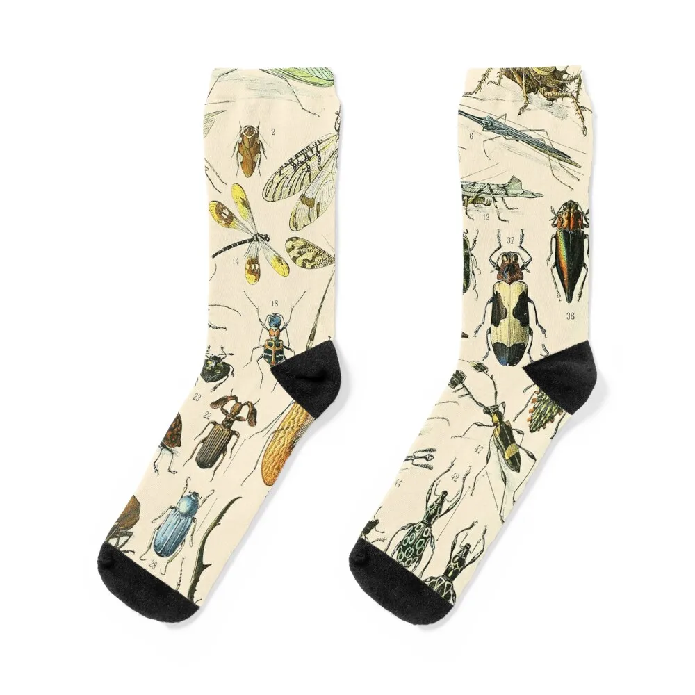 Insects Vintage Bug Chart Socks Hiking boots man floor floral Socks Female Men's
Insects Vintage Bug Chart Socks Hiking boots man floor floral Socks Female Men's