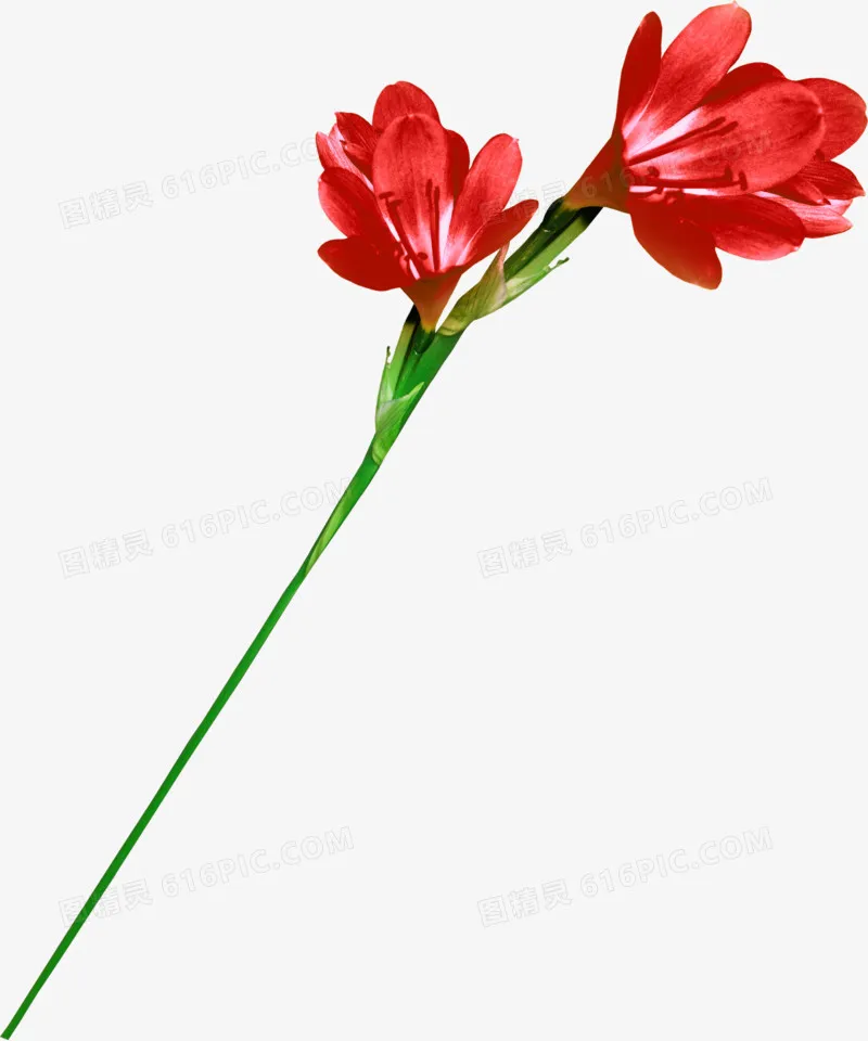 MATEKSYS M9N-5883 Компас GNSS GPS — высокоточное позиционирование, двойной модуль (GNSS + компас) | Для дальнего радиоуправляемых дронов FPV
MATEKSYS M9N-5883 Компас GNSS GPS — высокоточное позиционирование, двойной модуль (GNSS + компас) | Для дальнего радиоуправляемых дронов FPV