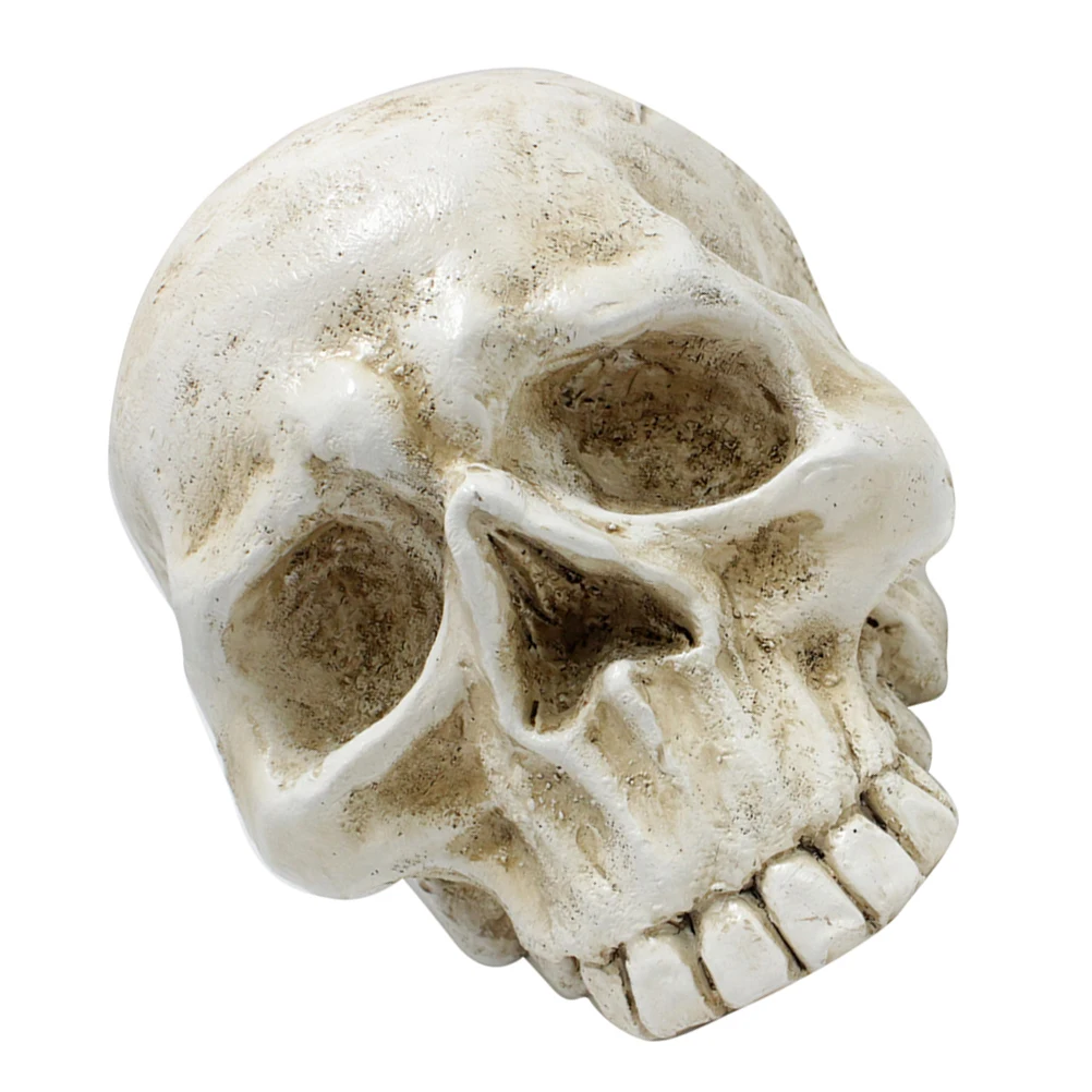 Skull Ornaments Resin Decoration Halloween Party Accessories Realistic Skull Design Exquisite Details Home Decor Hotels Malls
Skull Ornaments Resin Decoration Halloween Party Accessories Realistic Skull Design Exquisite Details Home Decor Hotels Malls