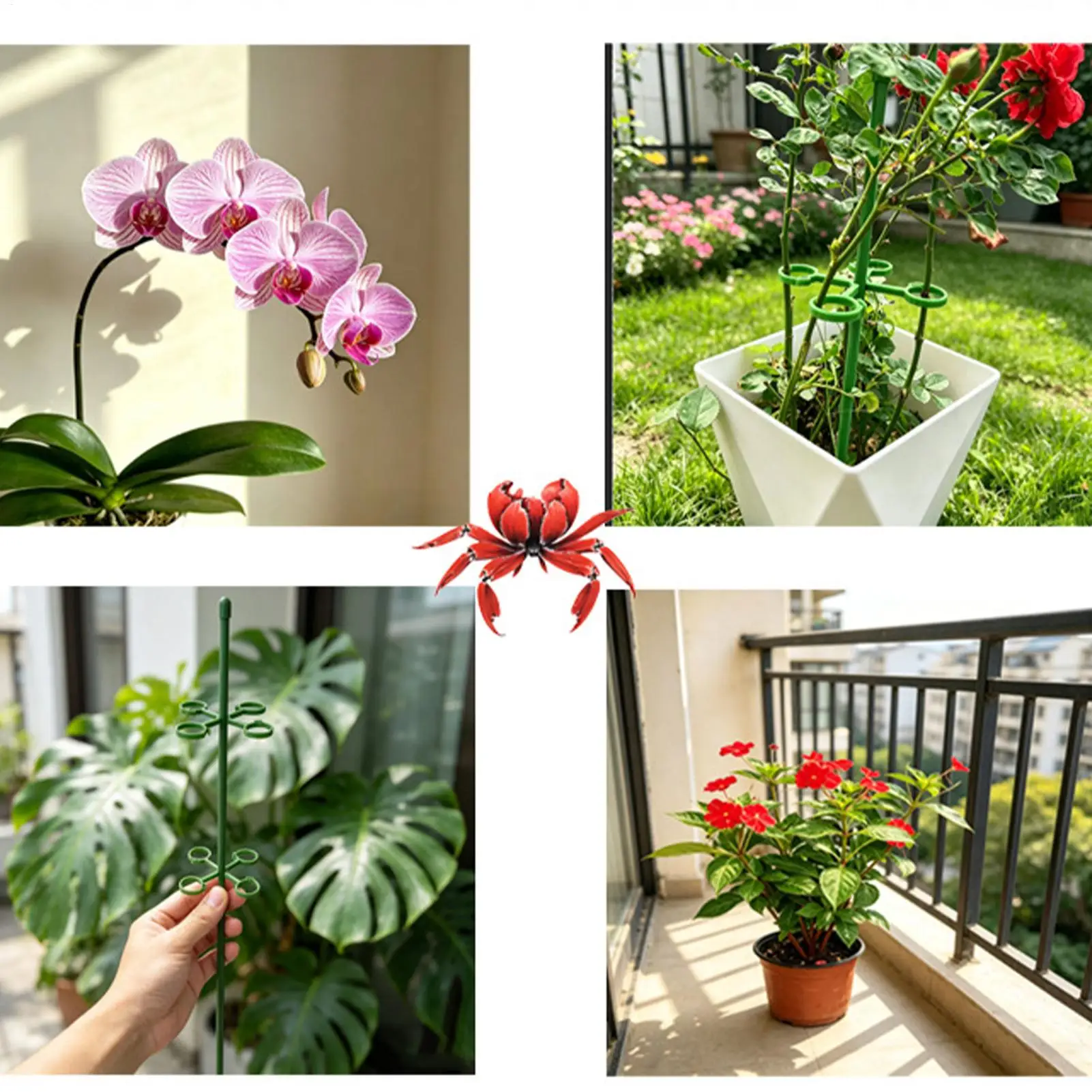 Plant Supports For Indoor 10-Piece Buckle Design Garden Flower Stakes For Indoor Planter Raised Bed Flower Monstera Tomato Fruit
Plant Supports For Indoor 10-Piece Buckle Design Garden Flower Stakes For Indoor Planter Raised Bed Flower Monstera Tomato Fruit