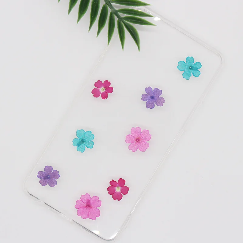 100 Dried Cherry Blossom Flowers for DIY Crafts, Resin Phone Case Decoration, Real Flower Nail Art, Face Stickers, and Photo Frame Decoration
100 Dried Cherry Blossom Flowers for DIY Crafts, Resin Phone Case Decoration, Real Flower Nail Art, Face Stickers, and Photo Frame Decoration