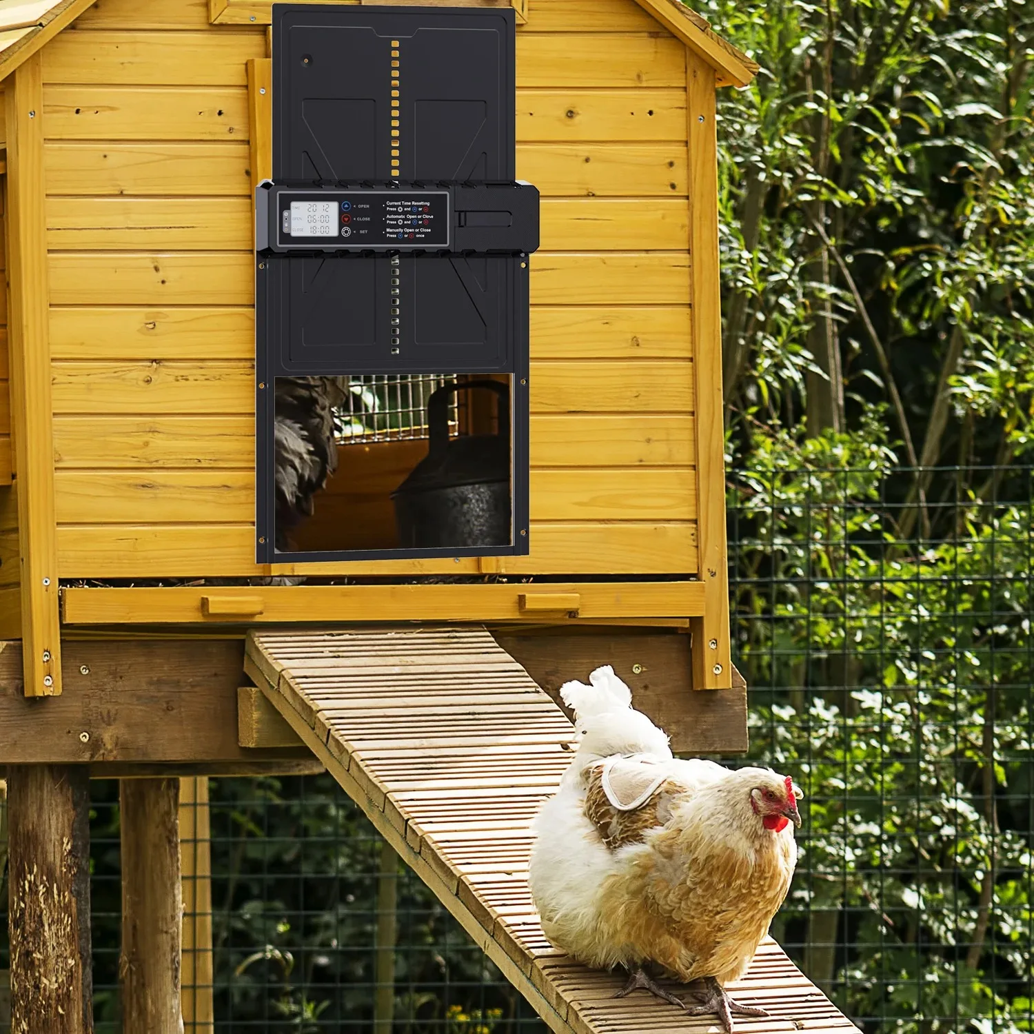 Automatic Large Poultry Coop Door with LCD Timer Screen 3 AA Battery Battery Not Included Easy Install
Automatic Large Poultry Coop Door with LCD Timer Screen 3 AA Battery Battery Not Included Easy Install