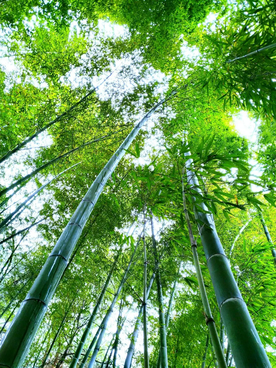 Customer customized items (including freight and customs duties)
Customer customized items (including freight and customs duties)