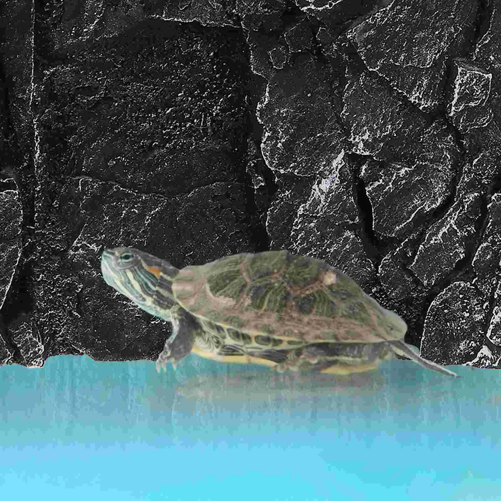 Aquarium Decorative Board Reptile Background for Terrarium Box Backdrop Decorations 3d Fish Tank Backgrounds
Aquarium Decorative Board Reptile Background for Terrarium Box Backdrop Decorations 3d Fish Tank Backgrounds
