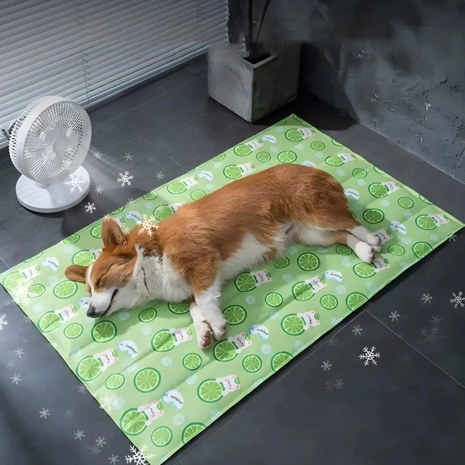 Cooling Dog Bed Comfortable Soft PVC Non-Slip Cooling Dog Beds Sleeping Pad For Car Trip Park Beach Picnic Balcony Lawn
Cooling Dog Bed Comfortable Soft PVC Non-Slip Cooling Dog Beds Sleeping Pad For Car Trip Park Beach Picnic Balcony Lawn