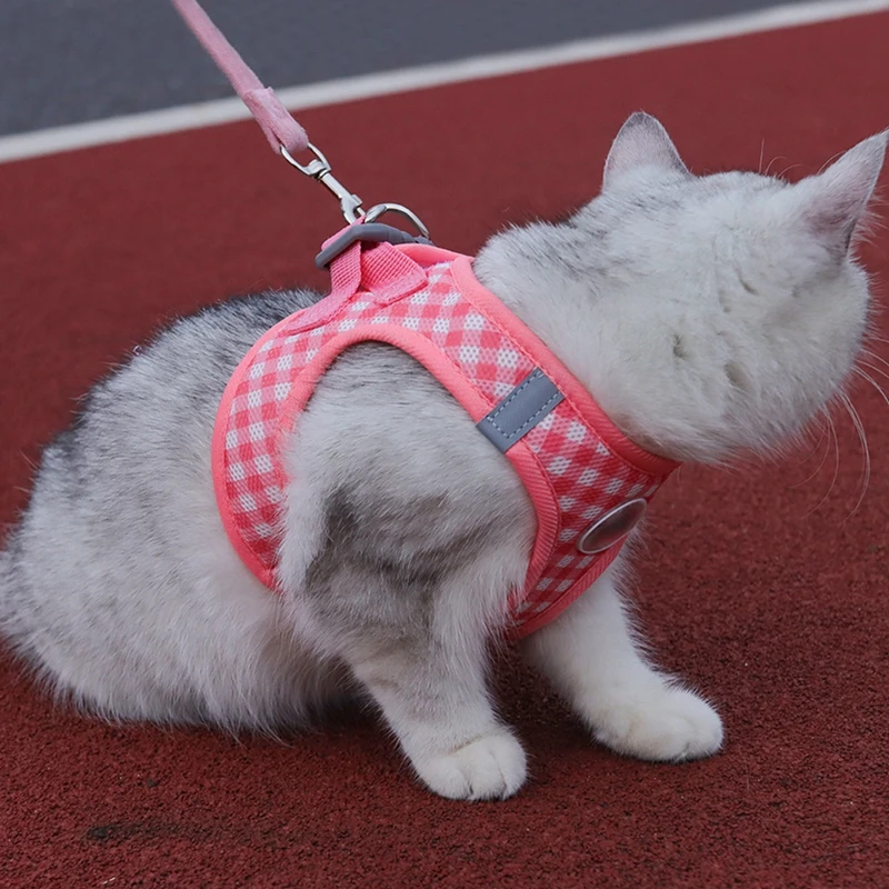 Comfortable Plaid Dog Harness with Leash Stylish Polyester Pet Vest for Small to Medium Dogs for Outdoor Walks and Activities #
Comfortable Plaid Dog Harness with Leash Stylish Polyester Pet Vest for Small to Medium Dogs for Outdoor Walks and Activities #